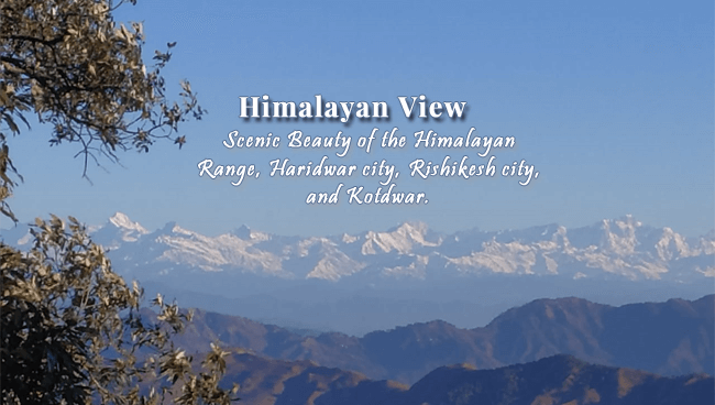 himalayan view